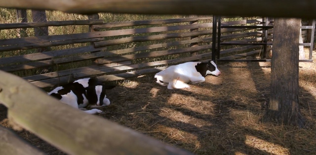Как мы побывали в Некотором царстве ... с Mui-chan
