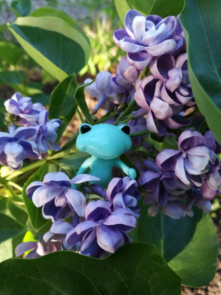 Добро пожаловать в удивительный мир Ванды