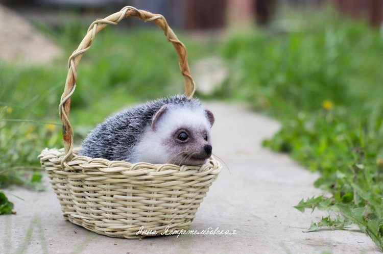 Ёжинька — Валяные игрушки из шерсти: сухое валяние