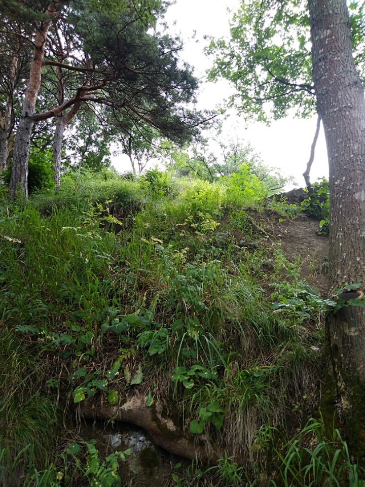 Возвращение Хелены в Кисловодск: опять за своё