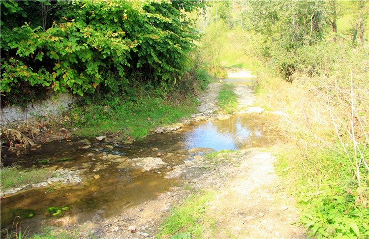 Старицкая Швейцария. Путешествие с Сашей, продолжение. Уникальная кукла от Сильвии Наттерер