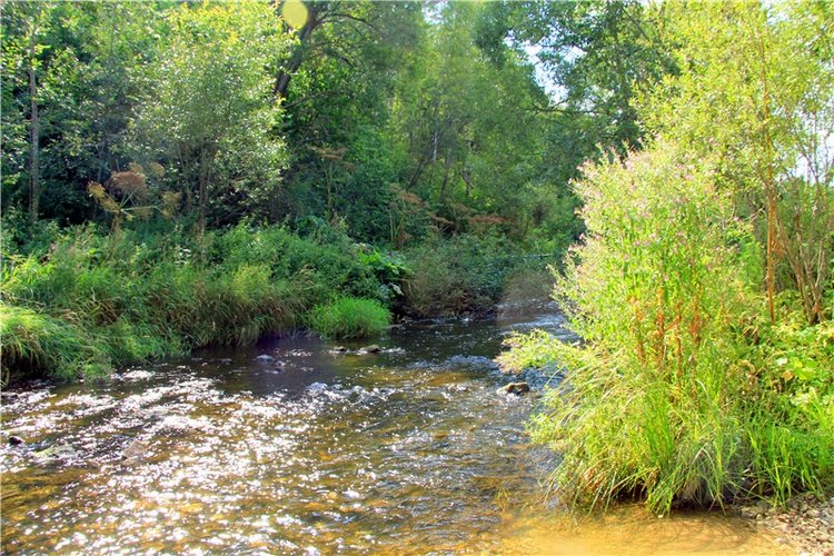 Старицкая Швейцария. Путешествие Мии. Minifee Miyu FairlyLand | Бэйбики Старицкая Швейцария. Путешествие Мии. Minifee Miyu FairlyLand