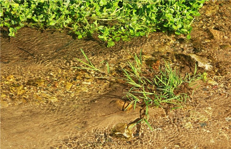 Старицкая Швейцария. Старицкие пещеры, д. Толпино, заключительная часть