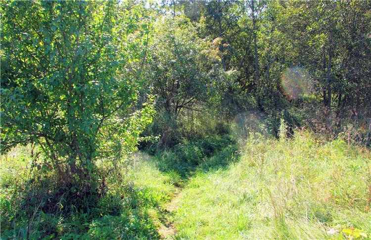 Старицкая Швейцария. Старицкие пещеры, д. Толпино, заключительная часть (фото 10)