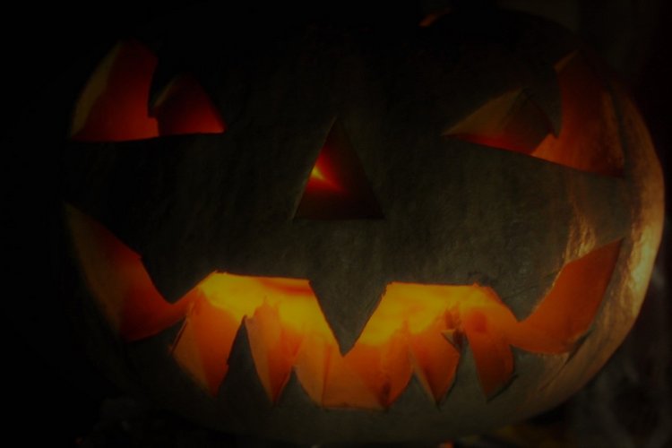 Прощание с теплой Осенью — Куклы Kidz'n'Cats (Соня Хартман): шарнирные 46 см