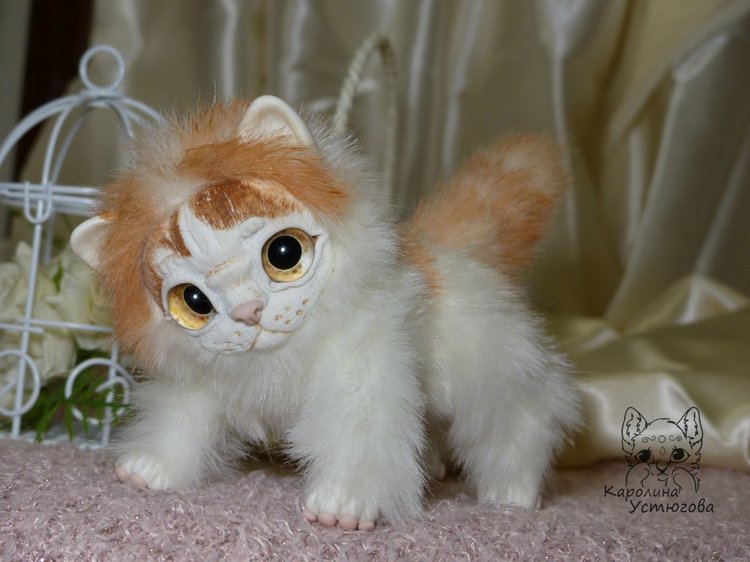 Обыкновенный котенок и его день (фото 9)