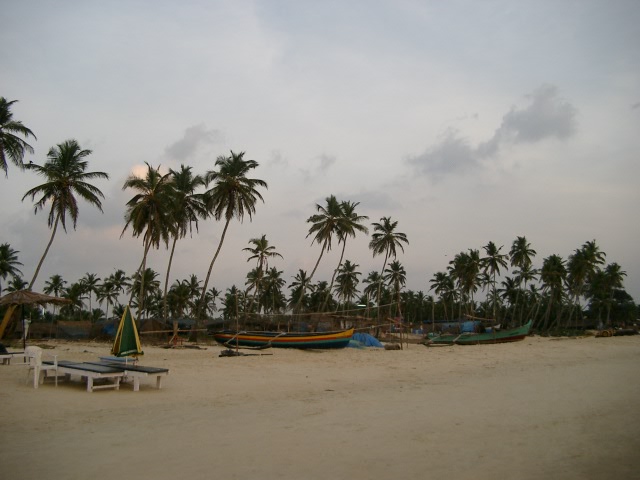 Сказочная Индия — Туризм и путешествия: фотоотчеты из поездок