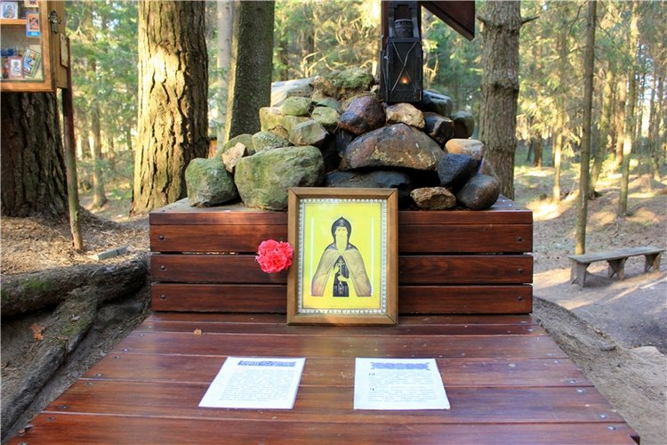 Джиджи на Орше. BJD Gigi от Meadow Dolls