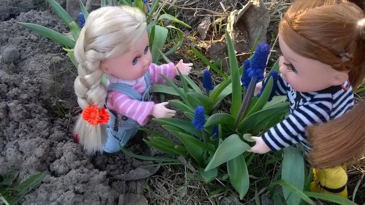Галинка с Полинкой во саду ли в огороде (фото 3)