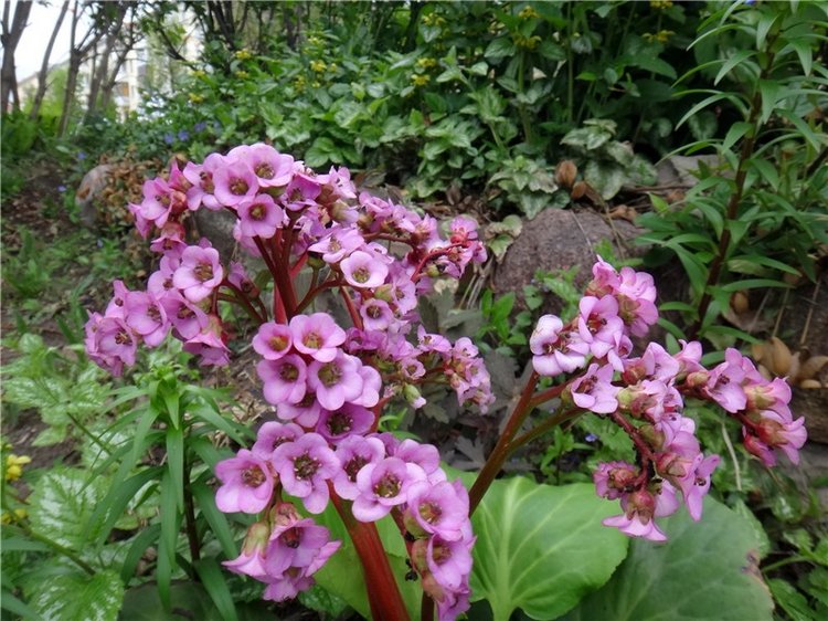 Милый мой город. Прогулка по Твери (фото 3)