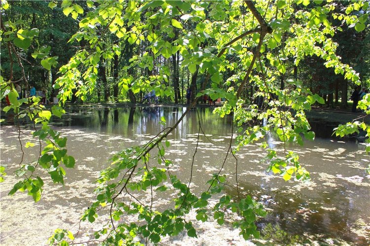 Я к Вам лечу воспоминаньем...Пушкинский праздник поэзии в Берново, 2019 год