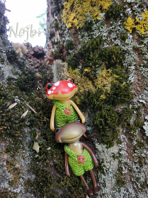 Wonderfrog. Красота в простоте