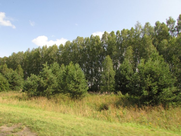 Путешествие в Нижегородскую область - часть 1 - Дивеево (Дивеевский монастырь) (фото 7)