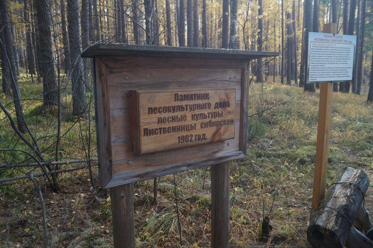 Хотите прогуляться по нашему городу? А за город - по экологической тропе (фото 7)