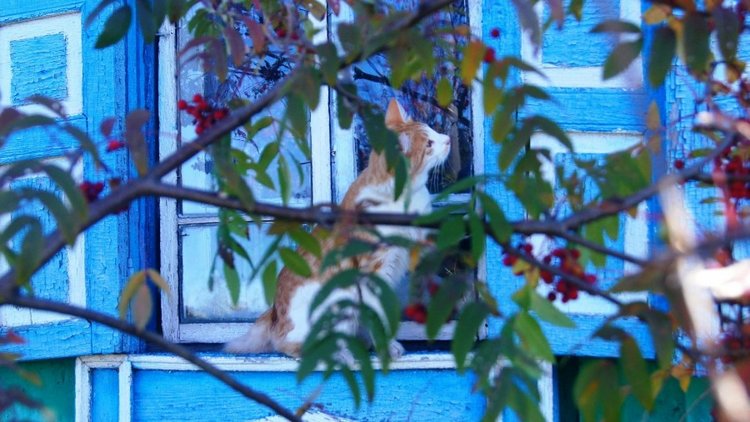 Лето - это маленькая жизнь (фото 2)