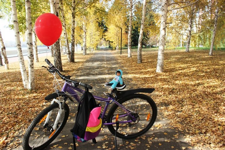 Осень моих вихтелят 2 — Куклы Rosemarie Anna Muller (Мюллер): Вихтели (Wichtel)