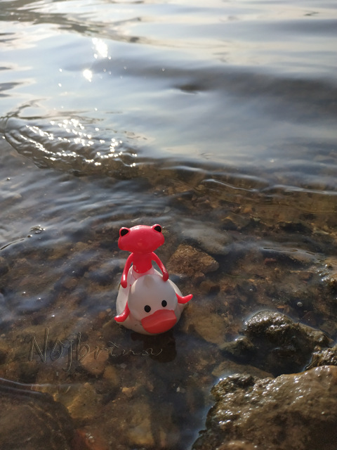 Wonderfrog. Красота в простоте. Часть 3 (фото 7)