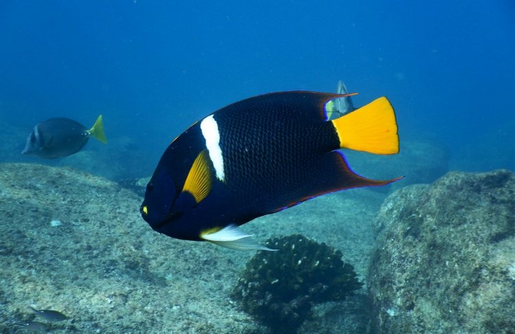 Любителям природы - профессиональные фотографии (выпуск 4)