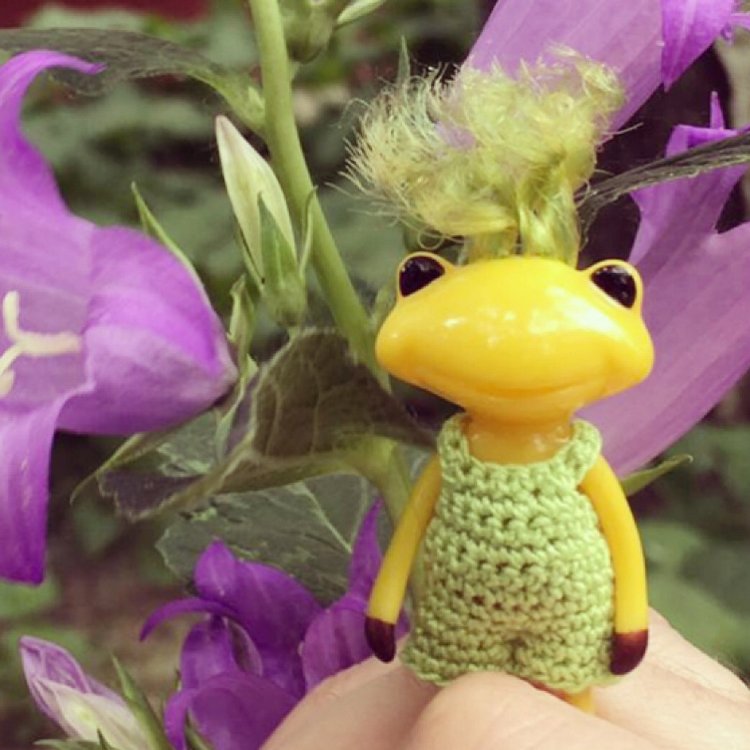 Маленькие лягушата Wonder Frog и цветы (фото 2)