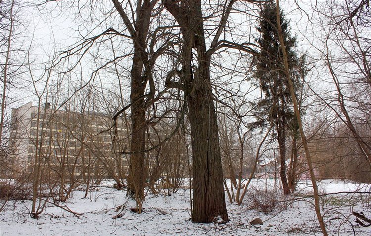 Путешествие в первый день Весны