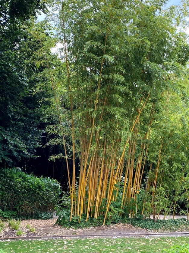 Галопом по Европам... 2 Часть