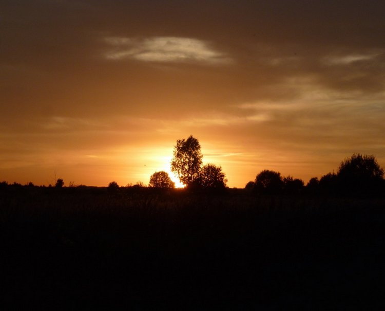 Отдых в деревне с Джой — Туризм и путешествия: фотоотчеты из поездок