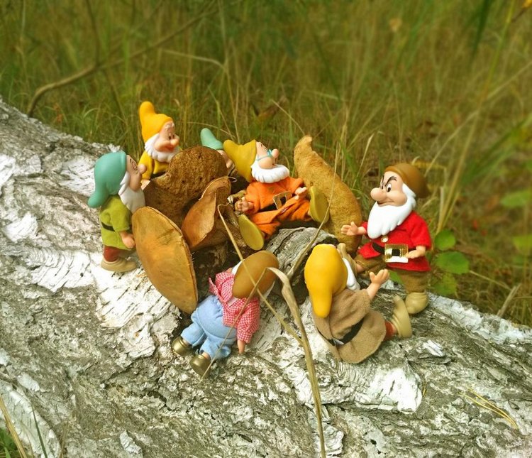 Осеннею порой под старою сосной... Принц, Белоснежка и гномы... встречаются