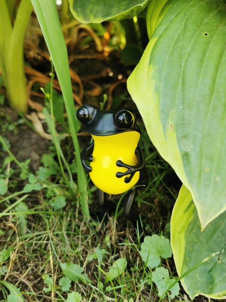 Лягушки Apo Frog от Twelvedot (фото 9)