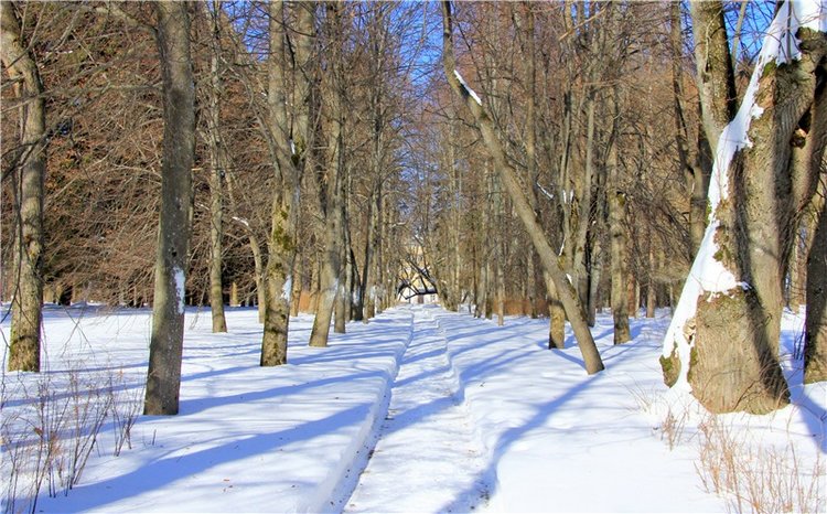 Снежный Март — Туризм и путешествия: фотоотчеты из поездок