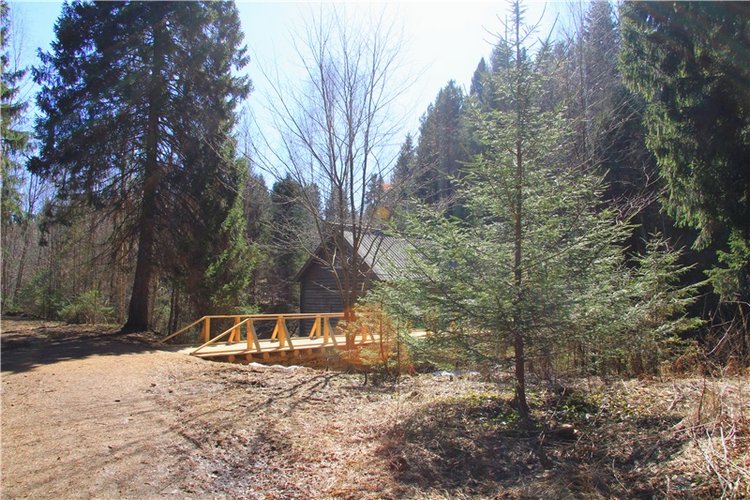 Апрельский день в Василёво, третья часть (фото 5)