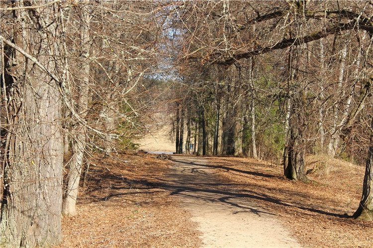 Апрельский день в Василёво, заключительная часть