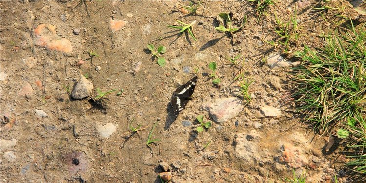 Старицкая Швейцария. Путешествие с Сашей, продолжение. Уникальная кукла от Сильвии Наттерер