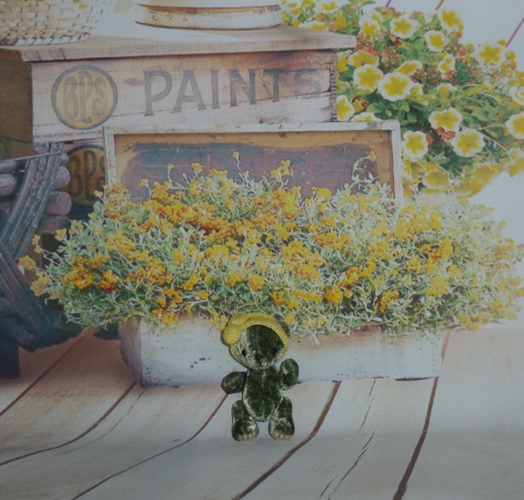 Моя небольшая коллекция кукол