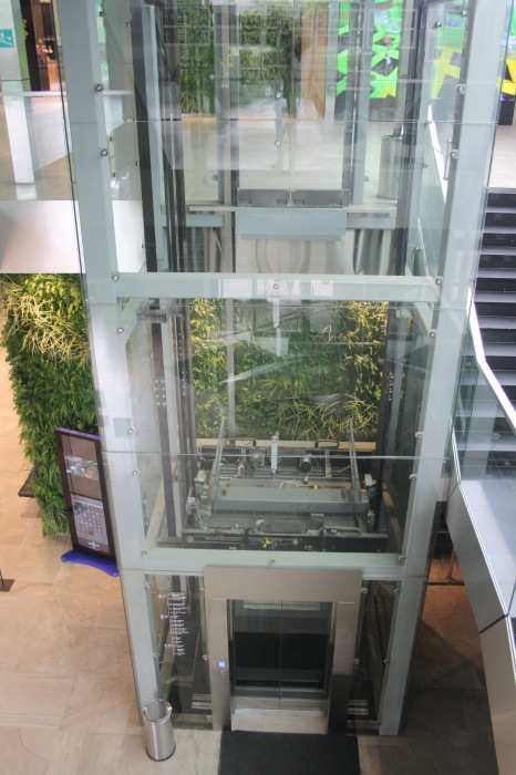 Выдающиеся предприниматели земли Псковской