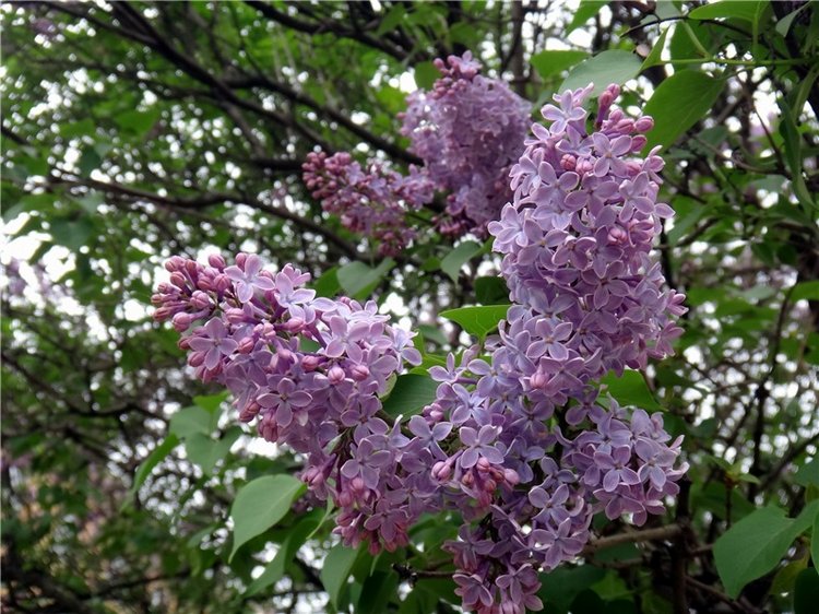 Милый мой город. Прогулка по Твери, продолжение