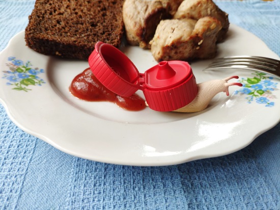 Что такое гасяпон — Домашние фото авторских игрушек: Тедди