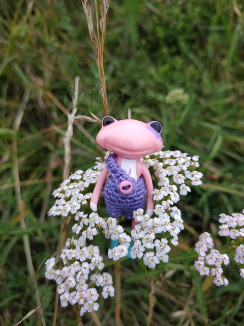 Wonderfrog. Красота в простоте