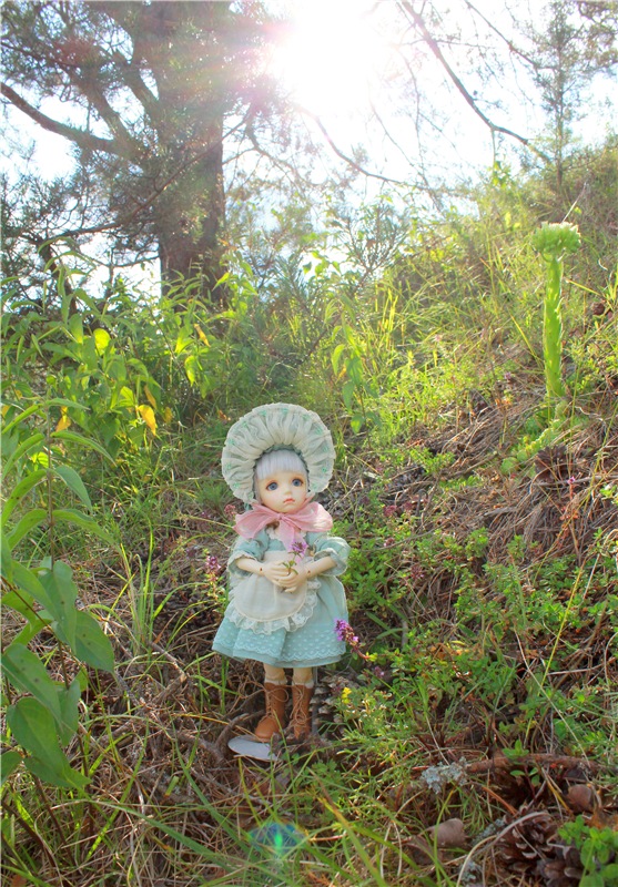 Живая Кукла. Колетт (Colette 2.2 от Soom Neo Angelregion) (фото 4)