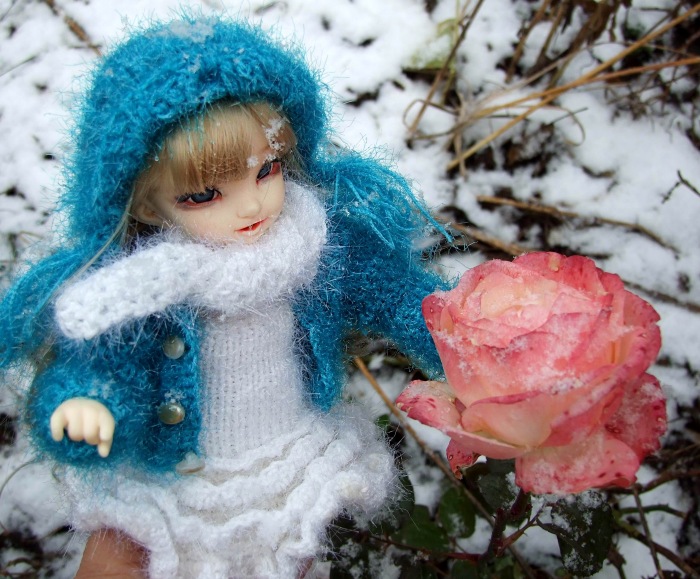 Утром кот принёс на лапах первый снег (фото 5)