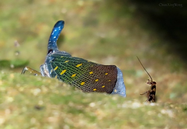 Любителям природы - профессиональные фотографии (выпуск 4)