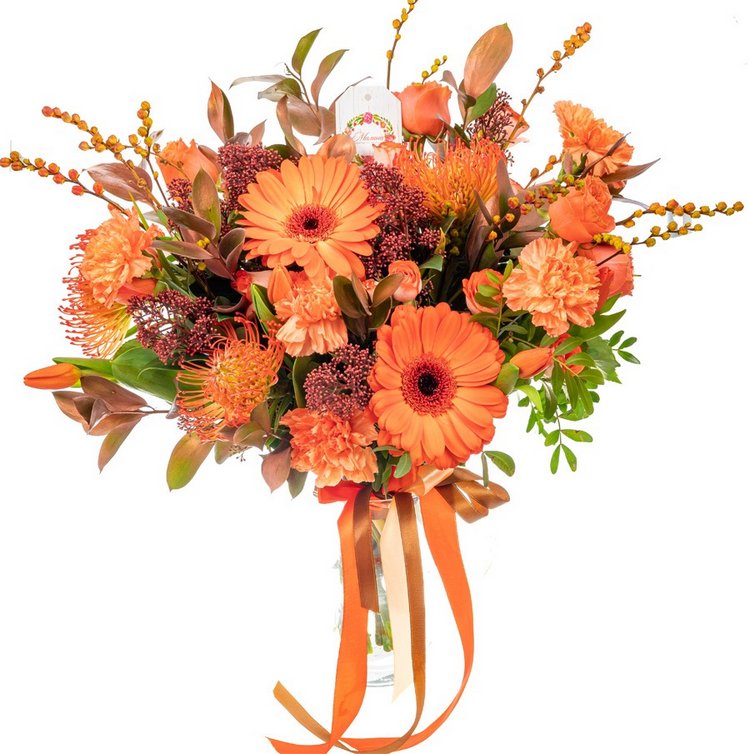 Две сестрички, две Анны Лу - часть вторая. Оранжевый бум