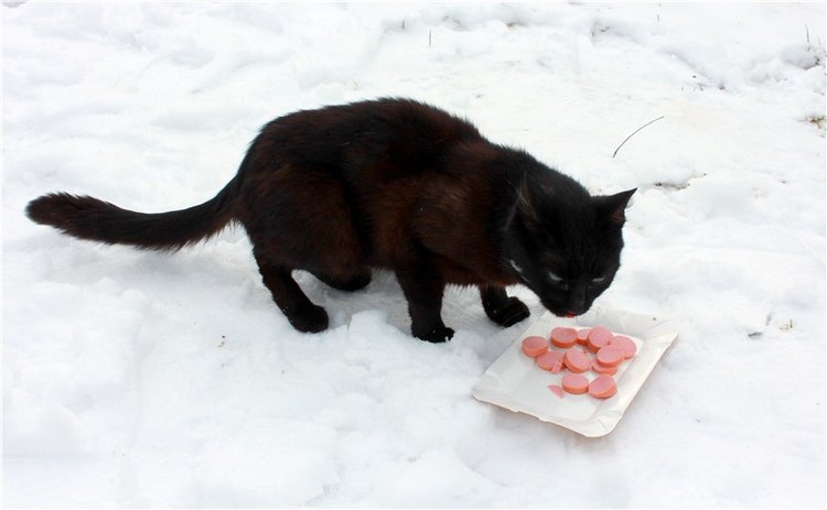 Путешествие в первый день Весны (фото 6)