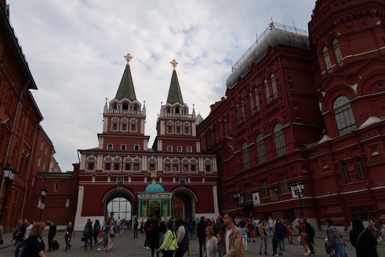 Знакомьтесь, новый вид медведей - медведь сумочный