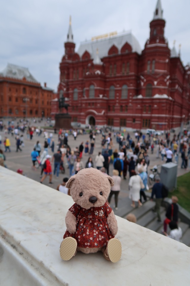 Знакомьтесь, новый вид медведей - медведь сумочный