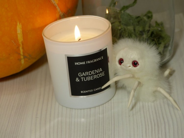 Halloween и маленькие паучки