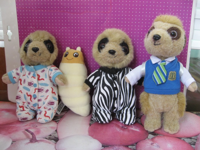 Британские сурикаты с русскими корнями (фото 6)