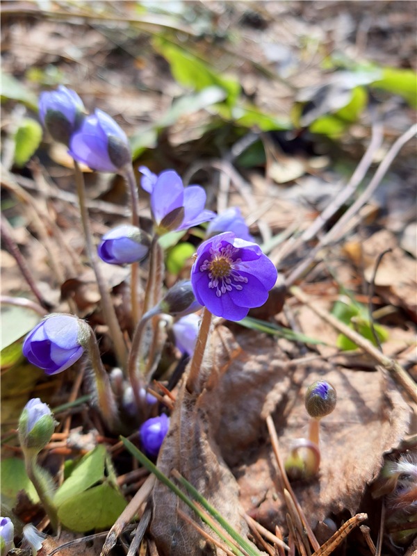 Малыши. Авторские игрушки Труничевой Ирины