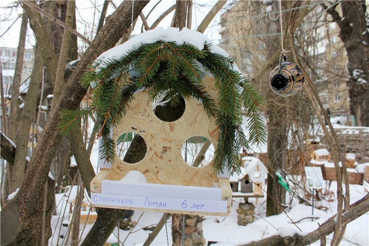 Тверской Ботанический Сад, заключительная часть (фото 10)