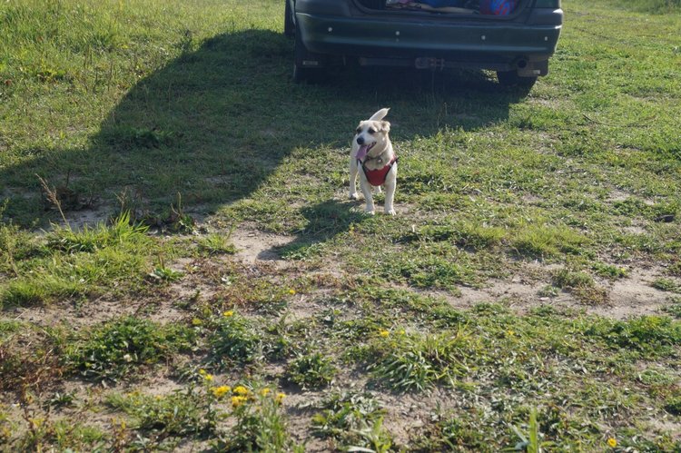 За хорошими эмоциями с семьёй на речку