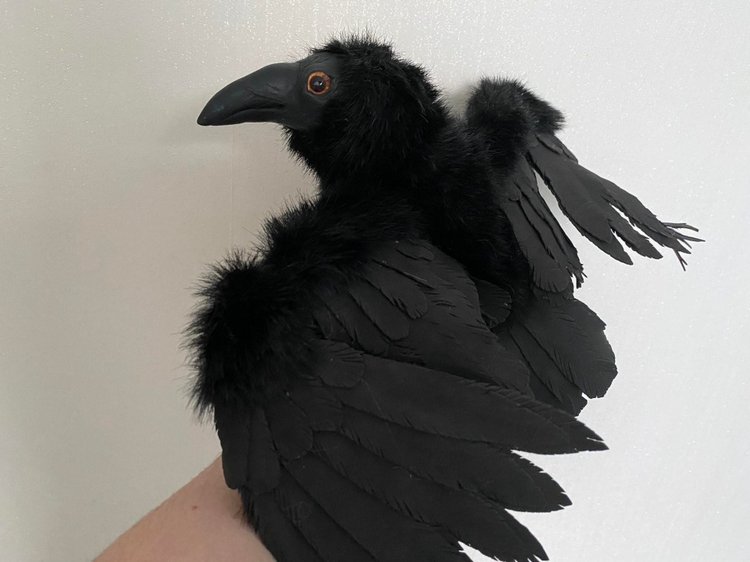 Ворон — Игрушки в смешанной технике (мех и глина): Арт